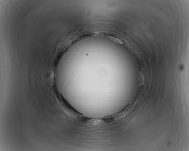 X0000100860427200806200843
