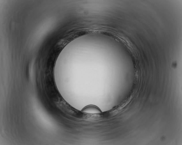 X0000100860429200806200843