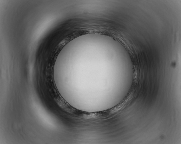 X0000100860430200806200843