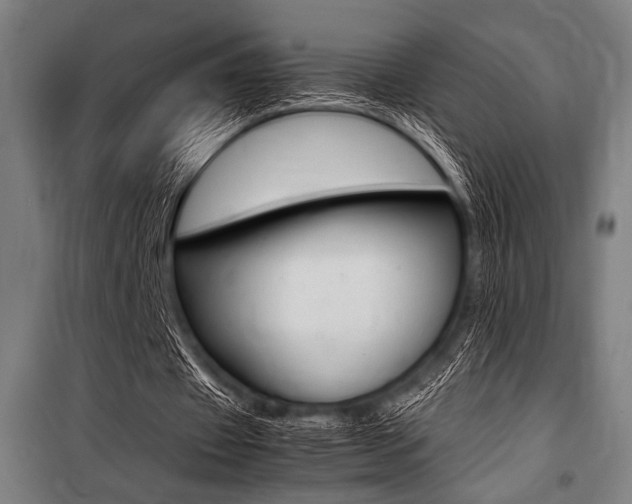 X0000100860433200806200842