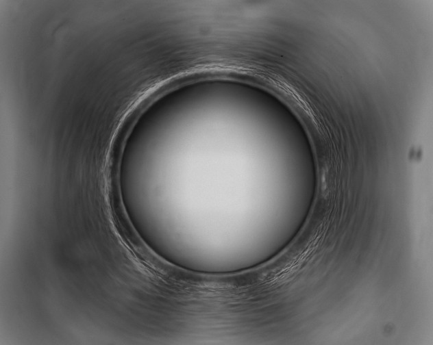 X0000100860436200806200842