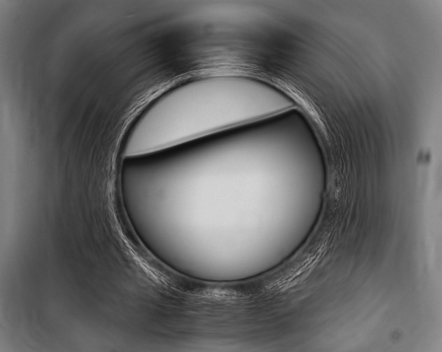 X0000100860437200806200842