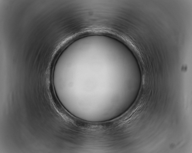 X0000100860438200806200842