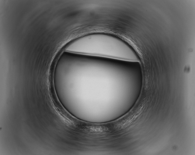 X0000100860439200806200842