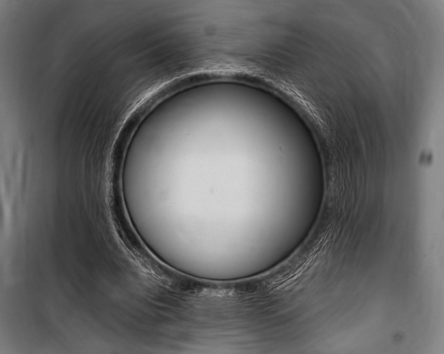 X0000100860440200806200842