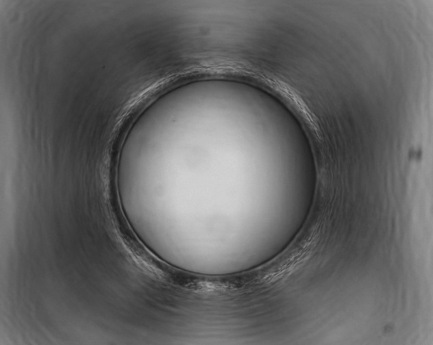 X0000100860442200806200842