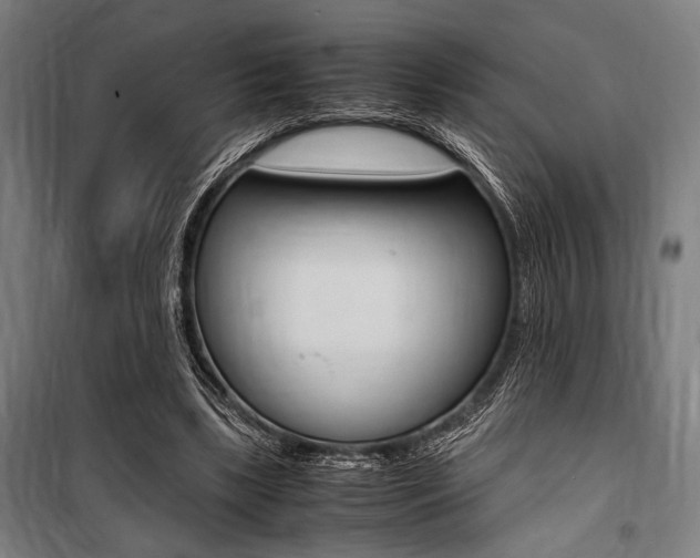 X0000100860443200806200842