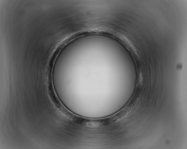 X0000100860444200806200842