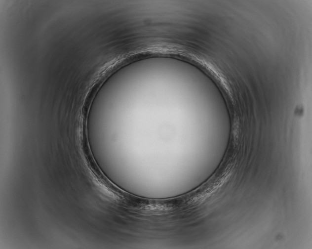 X0000100860445200806200842