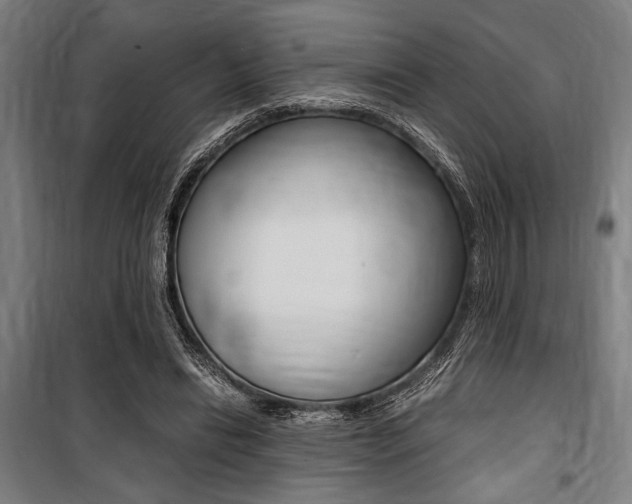 X0000100860446200806200842