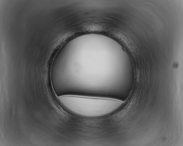 X0000100860447200806200842