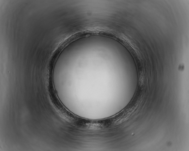 X0000100860448200806200842