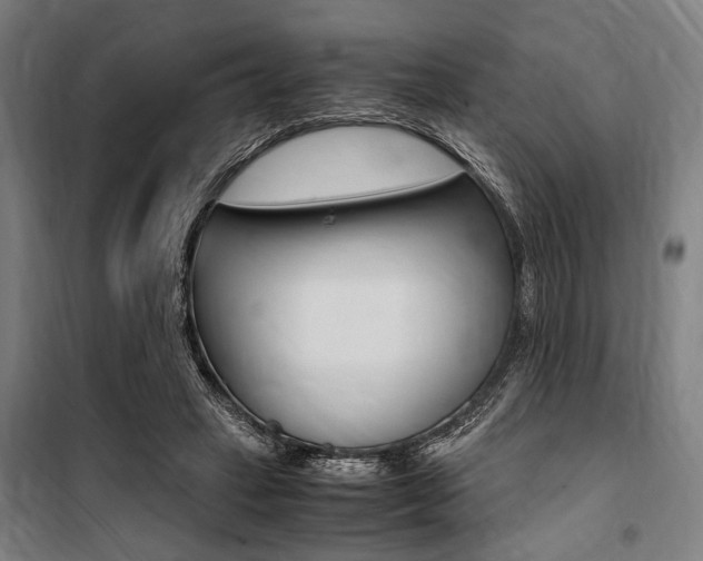 X0000100860449200806200842