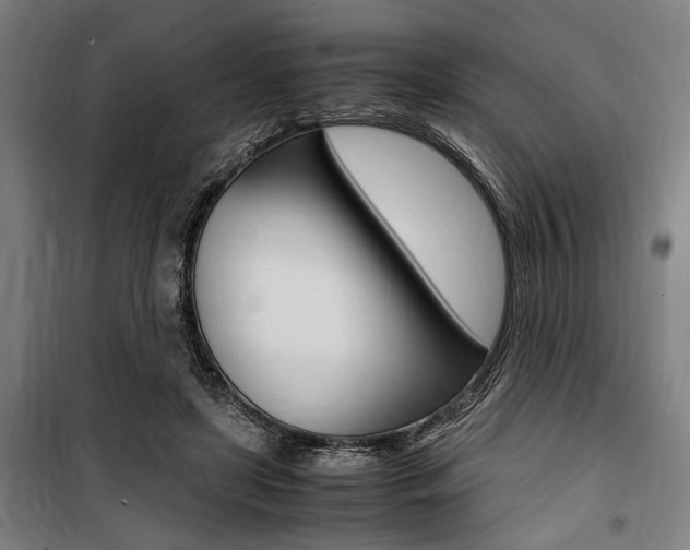 X0000100860451200806200842