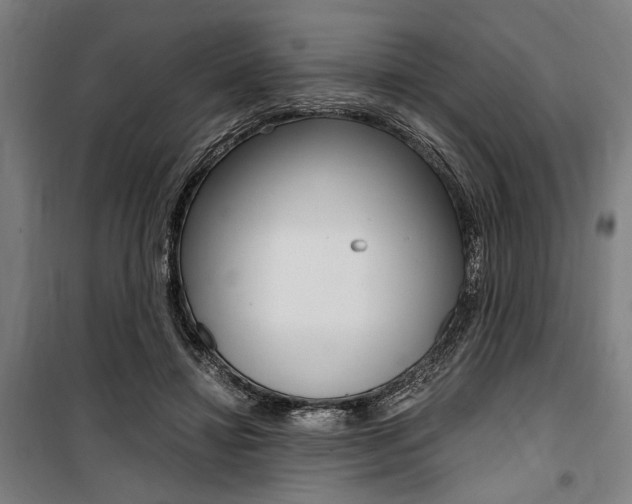 X0000100860452200806200842