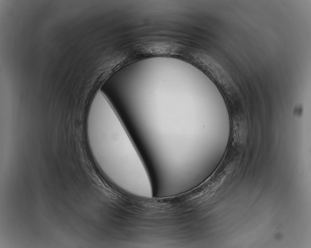 X0000100860453200806200842
