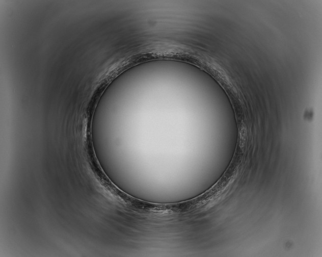 X0000100860454200806200842
