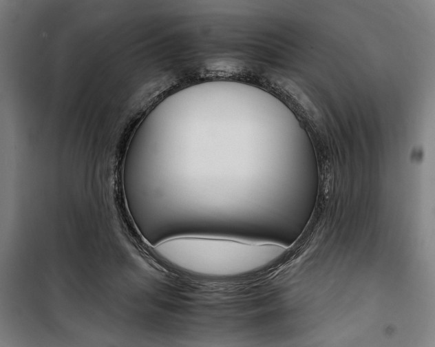 X0000100860455200806200842