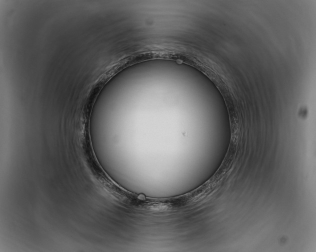 X0000100860456200806200842