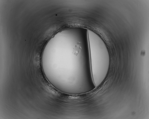 X0000100860457200806200842