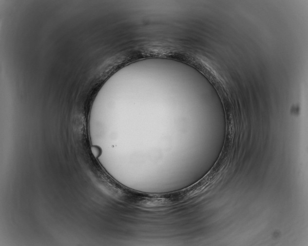 X0000100860459200806200842