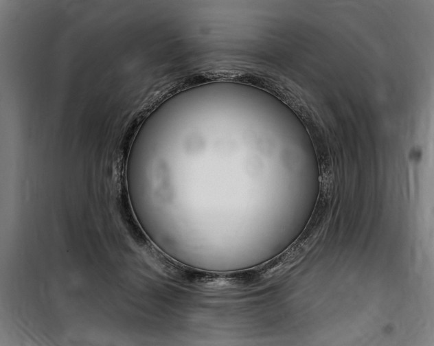 X0000100860460200806200842