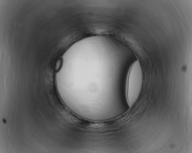 X0000100860461200806200842