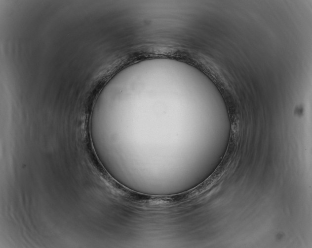 X0000100860462200806200842