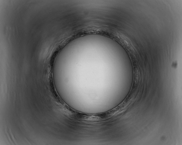 X0000100860463200806200842