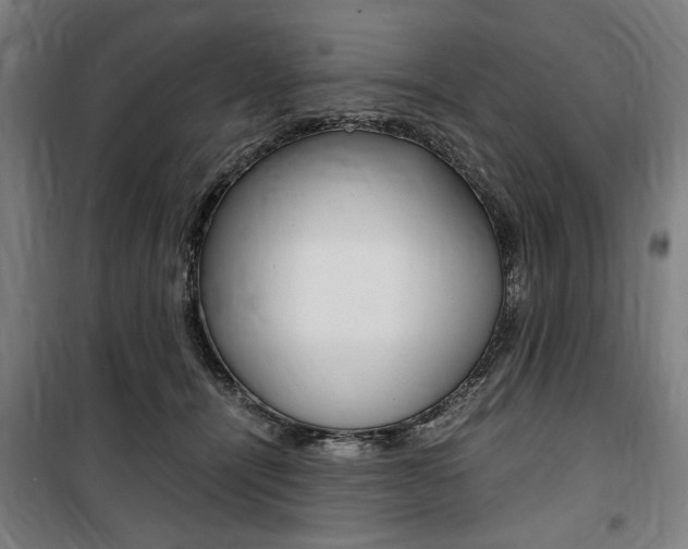 X0000100860464200806200842
