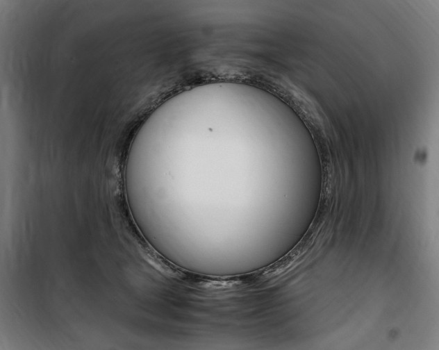 X0000100860465200806200842
