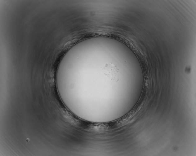 X0000100860466200806200842