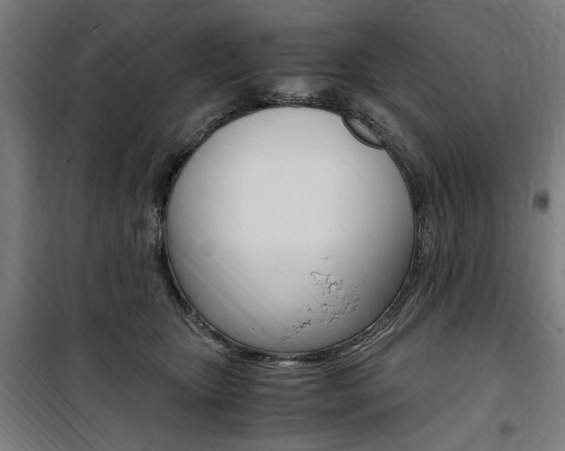 X0000100860467200806200842