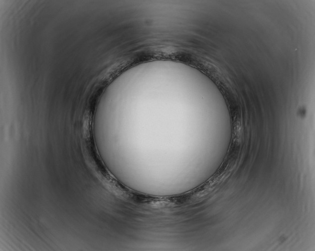 X0000100860468200806200842