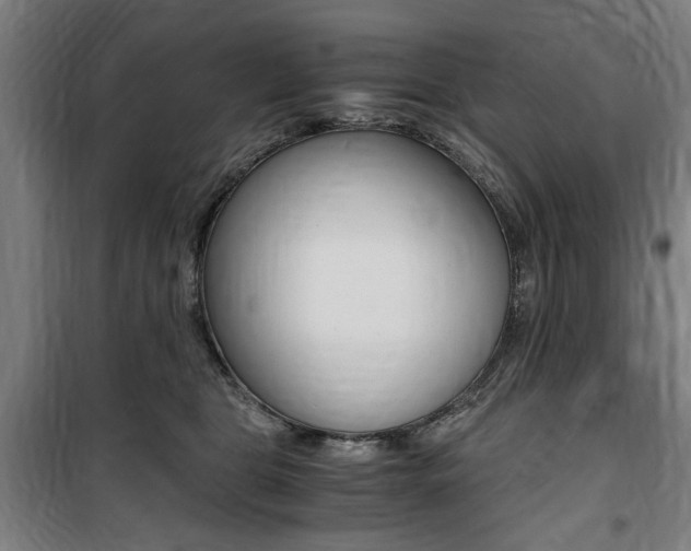 X0000100860469200806200842