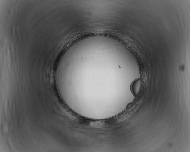 X0000100860470200806200842