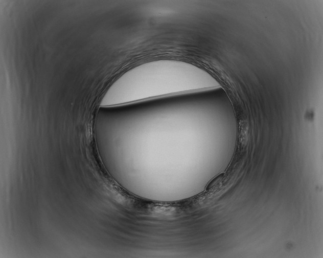 X0000100860471200806200842