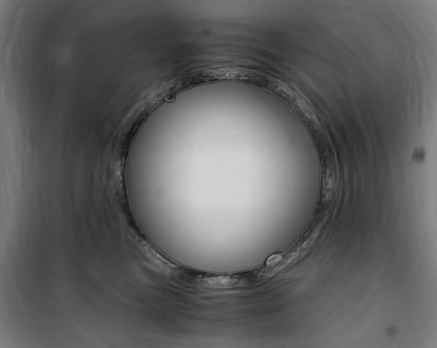 X0000100860473200806200842
