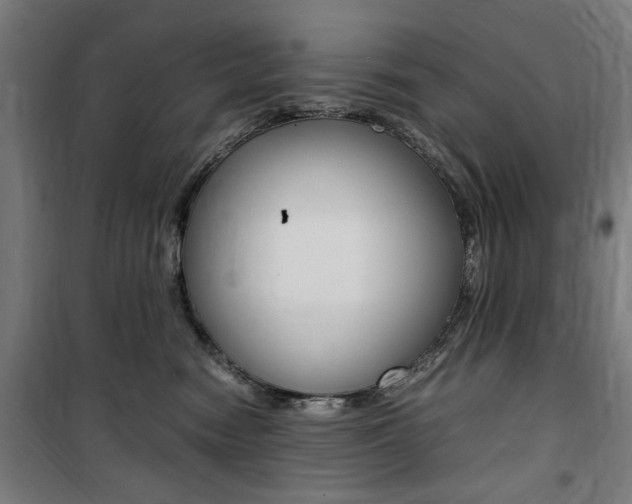 X0000100860474200806200842