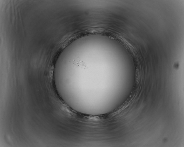 X0000100860475200806200842