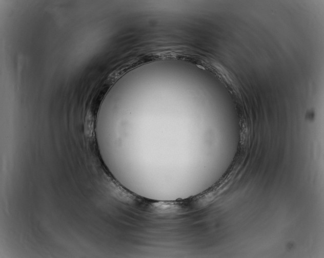 X0000100860477200806200843