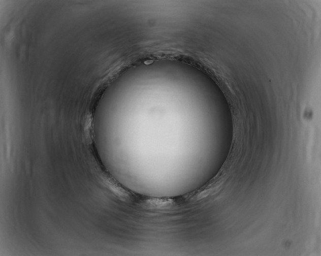 X0000100860480200806200843