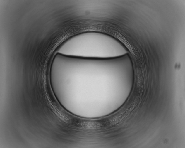 X0000100860482200806200842
