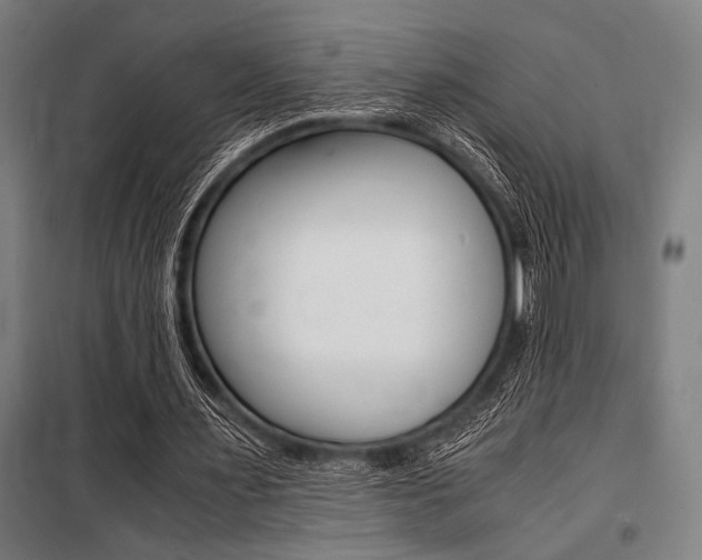 X0000100860483200806200842