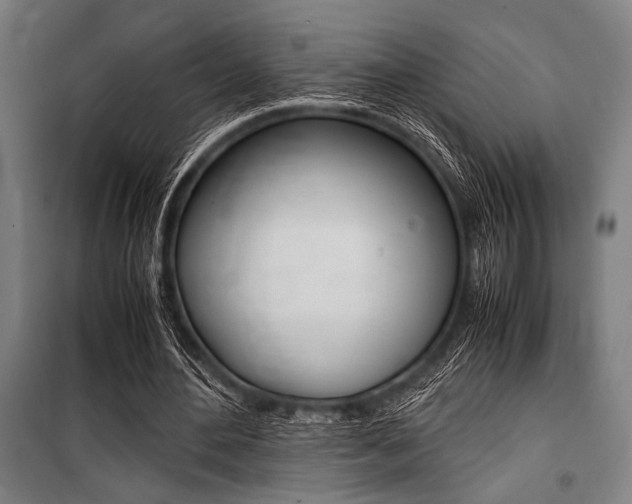 X0000100860484200806200842