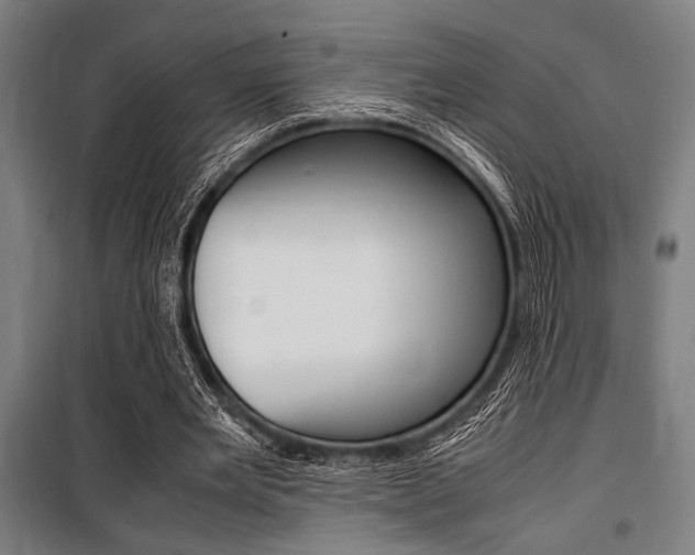 X0000100860485200806200842