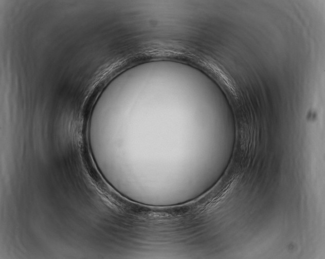 X0000100860490200806200842