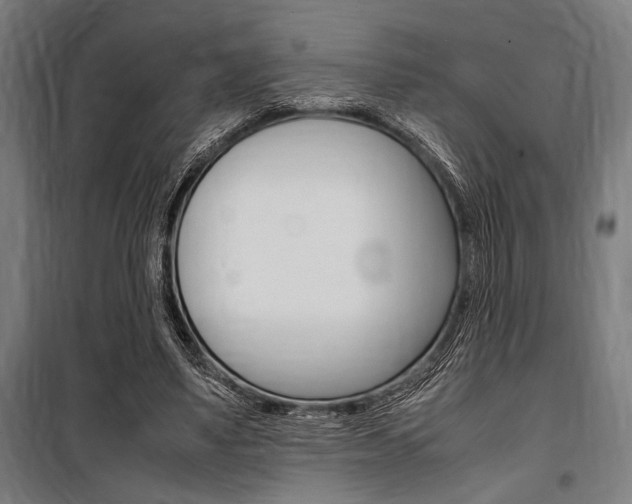 X0000100860491200806200842
