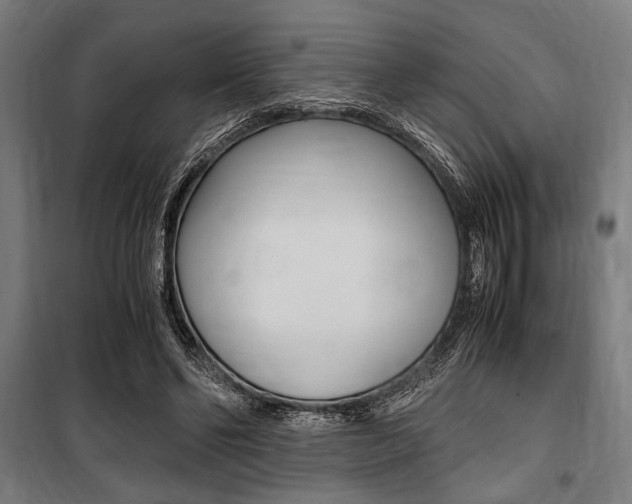 X0000100860494200806200842
