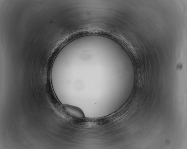 X0000100860496200806200842